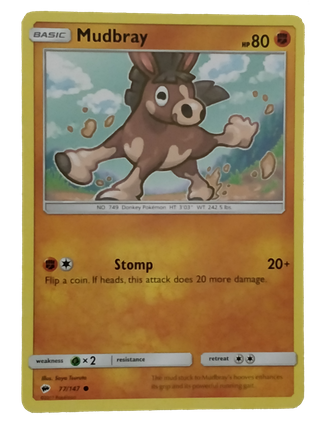 1-MUDBRAY.png