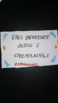 IMAG0364.jpg