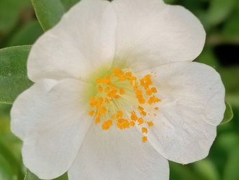 IMG_20250402_090859.jpg