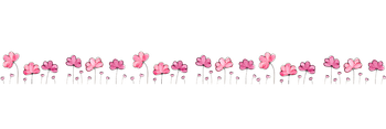separador1.png