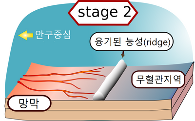 stage 2.png