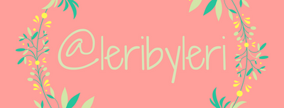 firma leribyleri.png