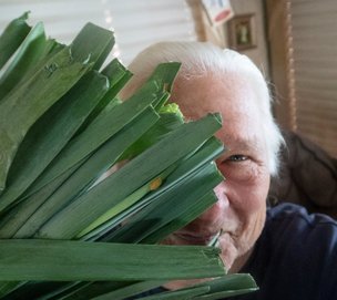 Leeks.jpg