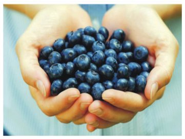 blue berries 1 .jpg
