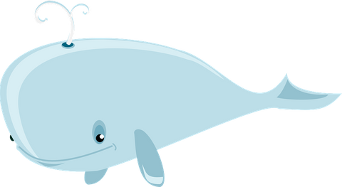 whale-36828_960_720.png