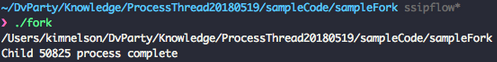 fork_image