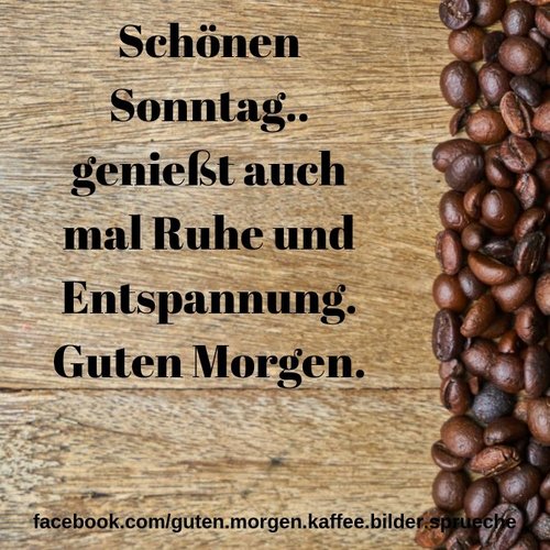 Kein Bild