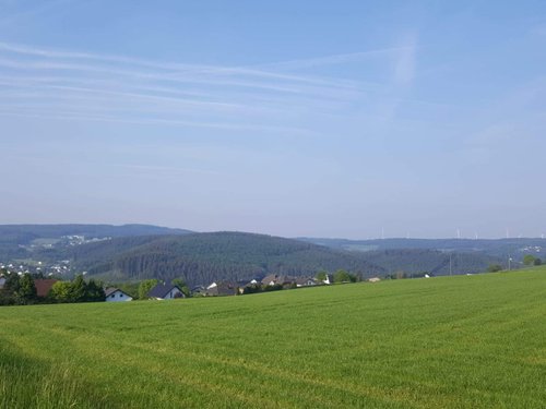 Kein Bild