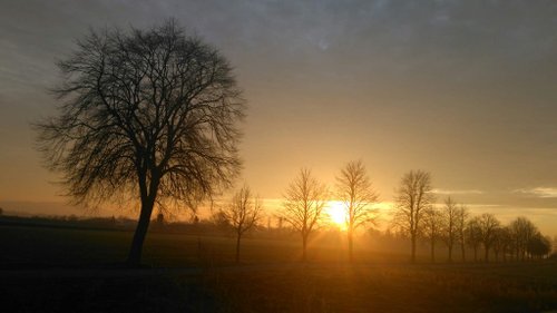 Kein Bild