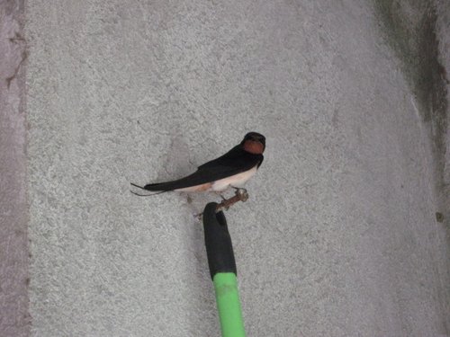 Kein Bild