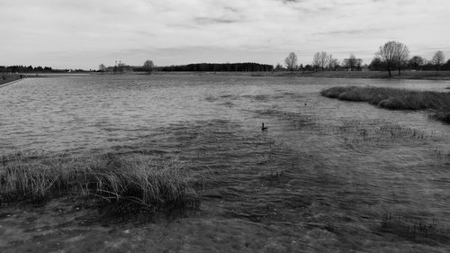 Kein Bild