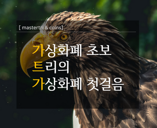 코인입문