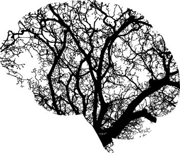 brain-tree.jpg