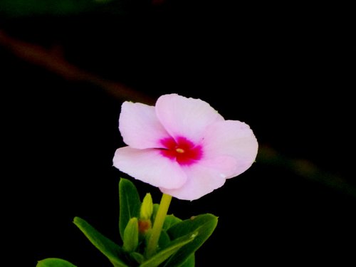 DSCN3871a.jpg