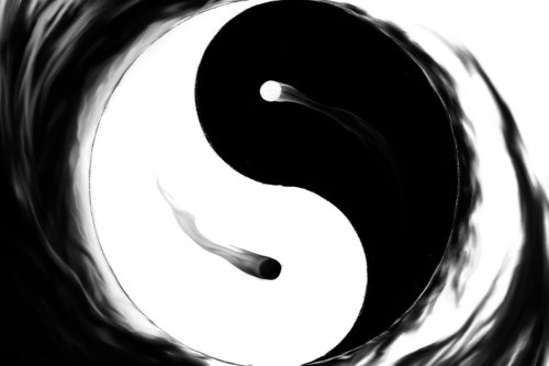 yin-yang-4527023_1280.jpg