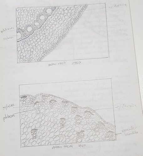 20180416_223951.jpg