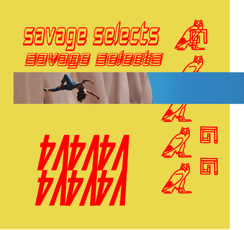 Savage Selects - V4.png