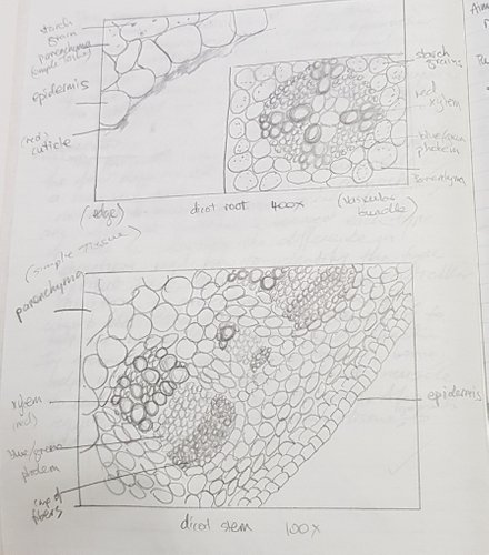 20180416_223931.jpg