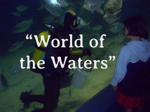 Feeding time (Melbourne Aquarium).JPG