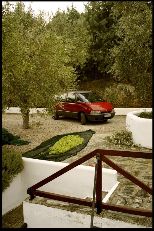 10 renault.jpg