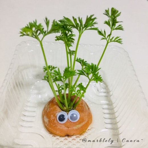 Carrot top, not by @marblely