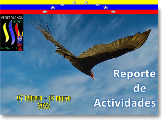 Cover reporte Concur 7feb-18mar.png