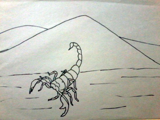 paso2escorp.jpg