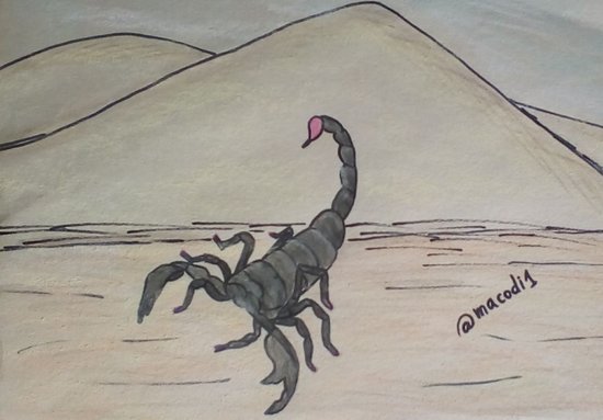 escorpion final.jpg