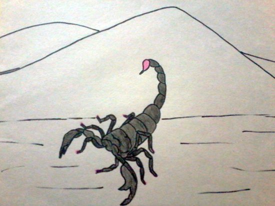 paso3escorpion.jpg