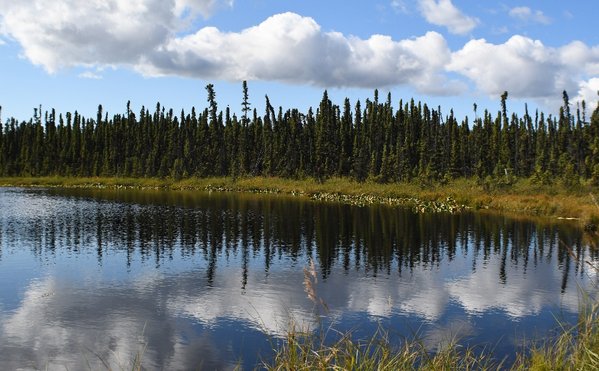 070 Alaska pond 1.jpg