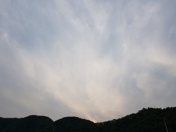 2018062.jpg