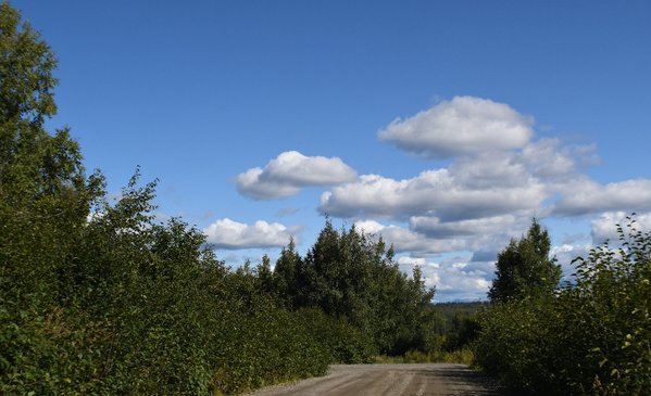 078 alaska road 1.jpg