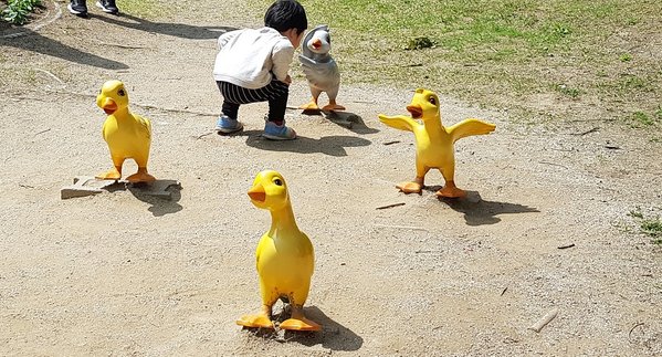 33.jpg