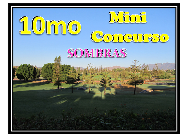 10mo Mini Concurso.png