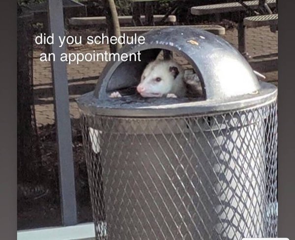 Mister Trash Busy