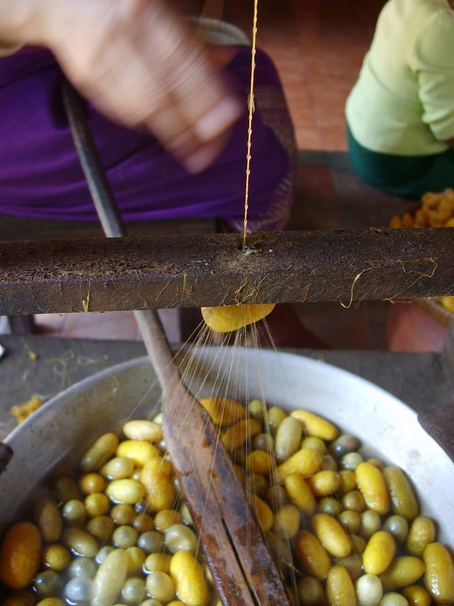How is silk produced? — Steemit