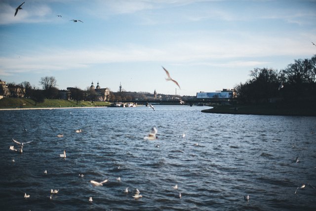 Vistula River