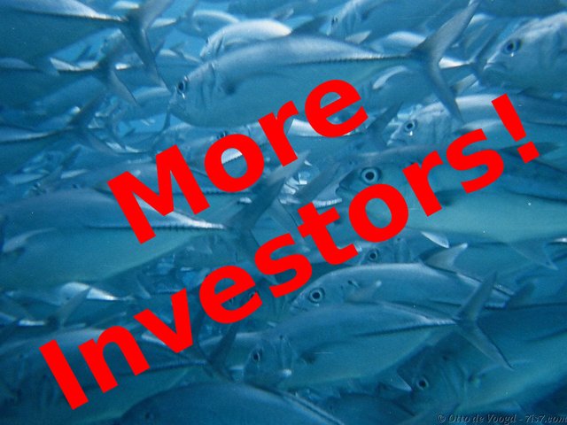 More Investors