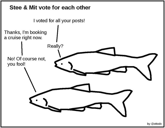 Stee & Mit Vote for Each Other