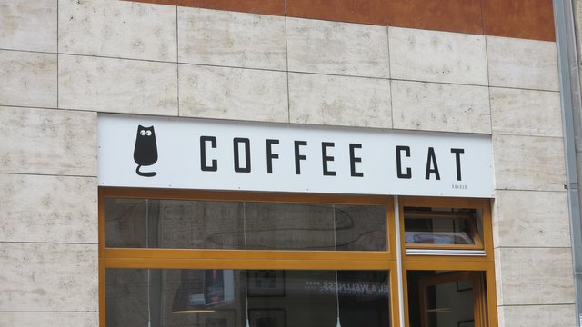 Coffee Cat