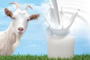 Resultado de imagen para leche de cabra