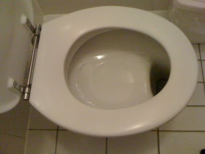 dutch toilet