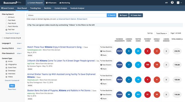 buzzsumo sosyal medya aracı panel ekran görüntüsü