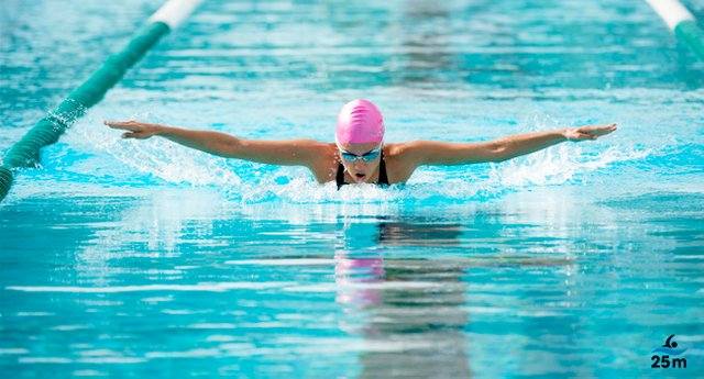 Pulgada Cancelar Crueldad Tecnicas De Natacion Estilo Mariposa Pelearse ...