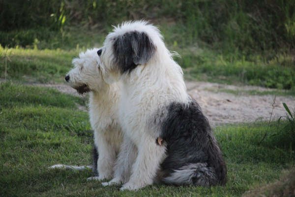 Mama Rosie mit Sohn Angel. 