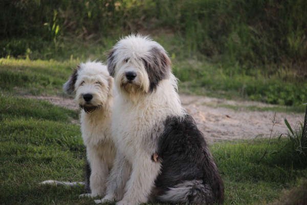 Mama Rosie mit Sohn Angel. 