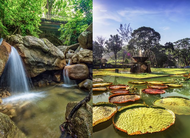 Penanggetaway A Trip To Botanical Gardens Penang S Very Own