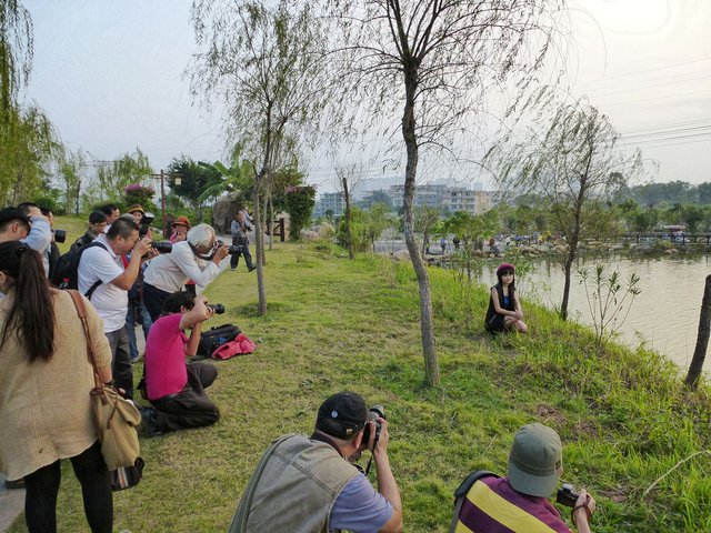 Scenes of Yulin