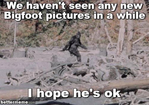 Image result for bigfoot meme