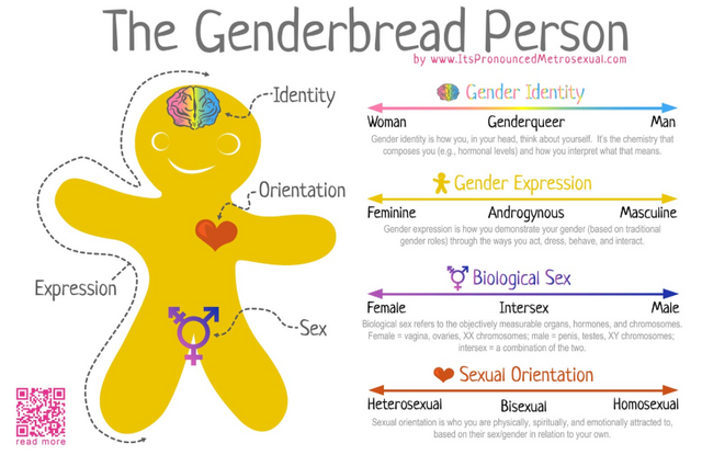 gender bread